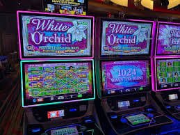 tuban toto featured game showcase tuban toto featured game showcase